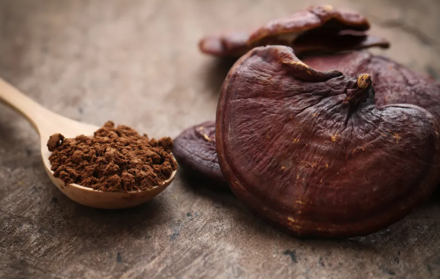 6 Benefits of Ganoderma Lucidum Spore Powder